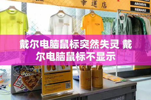 戴尔电脑鼠标突然失灵 戴尔电脑鼠标不显示
