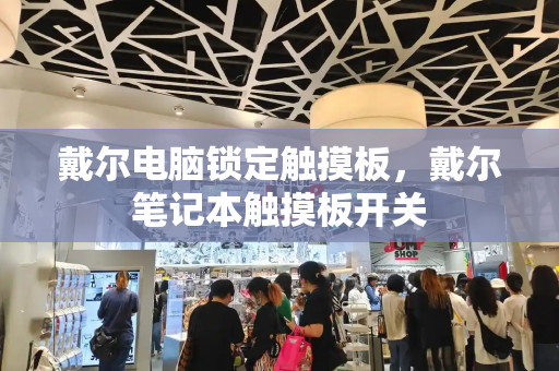戴尔电脑锁定触摸板，戴尔笔记本触摸板开关