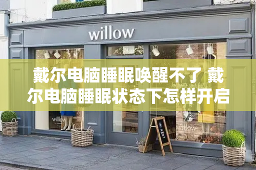 戴尔电脑睡眠唤醒不了 戴尔电脑睡眠状态下怎样开启