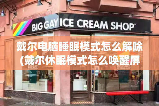 戴尔电脑睡眠模式怎么解除(戴尔休眠模式怎么唤醒屏幕黑着的)