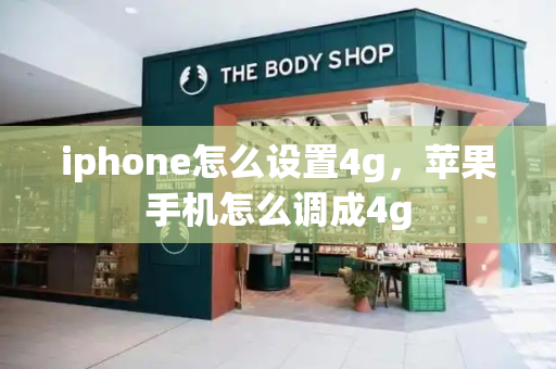 iphone怎么设置4g，苹果手机怎么调成4g-第1张图片-星选测评