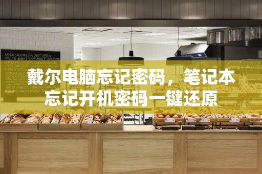 戴尔电脑忘记密码，笔记本忘记开机密码一键还原