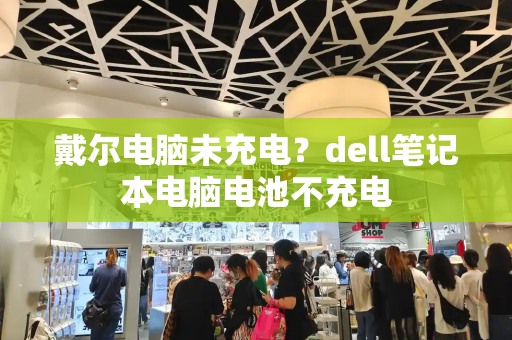 戴尔电脑未充电？dell笔记本电脑电池不充电-第1张图片-星选测评