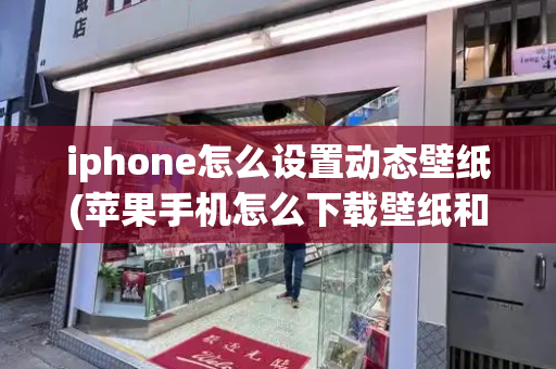 iphone怎么设置动态壁纸(苹果手机怎么下载壁纸和主题)-第1张图片-星选测评