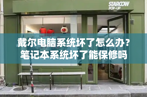 戴尔电脑系统坏了怎么办？笔记本系统坏了能保修吗-第1张图片-星选测评