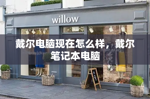 戴尔电脑现在怎么样，戴尔笔记本电脑-第1张图片-星选测评