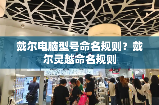 戴尔电脑型号命名规则？戴尔灵越命名规则-第1张图片-星选测评