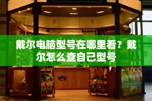 戴尔电脑型号在哪里看？戴尔怎么查自己型号