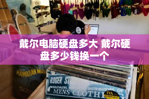 戴尔电脑硬盘多大 戴尔硬盘多少钱换一个