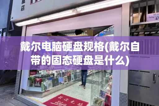 戴尔电脑硬盘规格(戴尔自带的固态硬盘是什么)