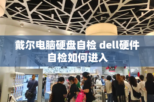 戴尔电脑硬盘自检 dell硬件自检如何进入