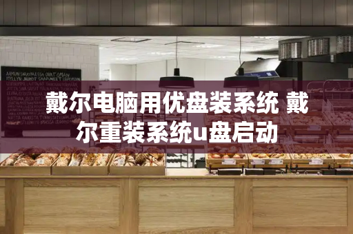 戴尔电脑用优盘装系统 戴尔重装系统u盘启动