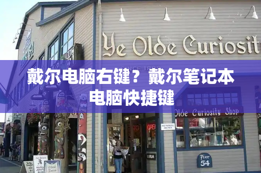 戴尔电脑右键？戴尔笔记本电脑快捷键-第1张图片-星选测评
