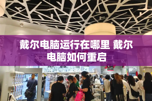 戴尔电脑运行在哪里 戴尔电脑如何重启-第1张图片-星选测评