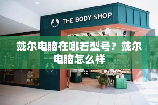 戴尔电脑在哪看型号？戴尔电脑怎么样-第1张图片-星选测评