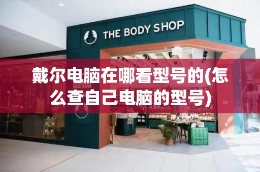 戴尔电脑在哪看型号的(怎么查自己电脑的型号)-第1张图片-星选测评