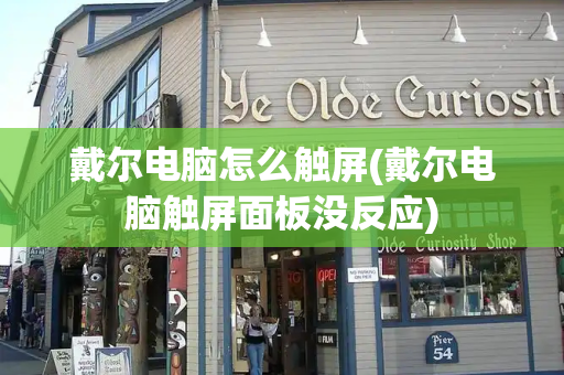 戴尔电脑怎么触屏(戴尔电脑触屏面板没反应)-第1张图片-星选测评
