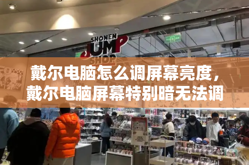 戴尔电脑怎么调屏幕亮度，戴尔电脑屏幕特别暗无法调节-第1张图片-星选测评
