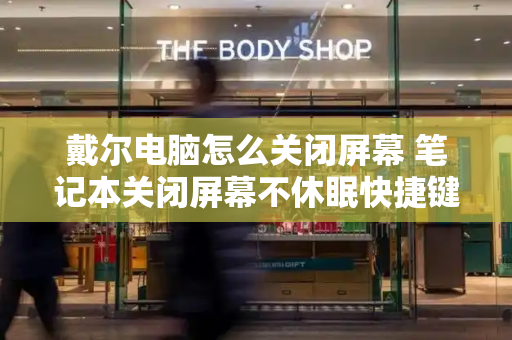 戴尔电脑怎么关闭屏幕 笔记本关闭屏幕不休眠快捷键-第1张图片-星选测评