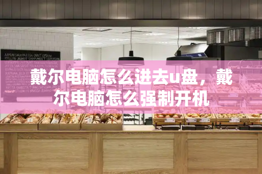 戴尔电脑怎么进去u盘，戴尔电脑怎么强制开机-第1张图片-星选测评