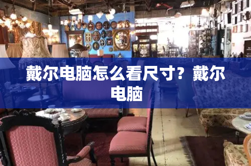 戴尔电脑怎么看尺寸？戴尔电脑-第1张图片-星选测评