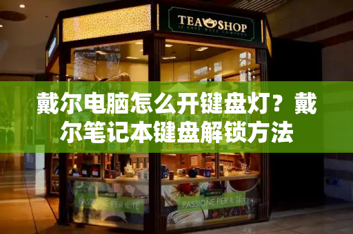 戴尔电脑怎么开键盘灯？戴尔笔记本键盘解锁方法-第1张图片-星选测评
