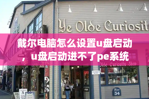 戴尔电脑怎么设置u盘启动，u盘启动进不了pe系统