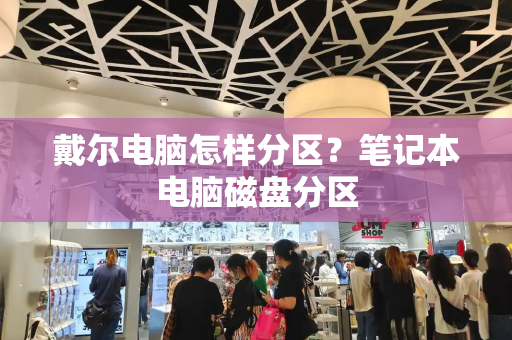 戴尔电脑怎样分区？笔记本电脑磁盘分区-第1张图片-星选测评