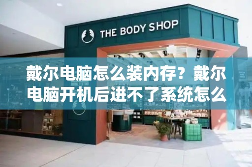 戴尔电脑怎么装内存？戴尔电脑开机后进不了系统怎么办-第1张图片-星选测评