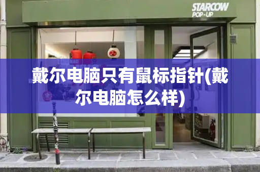 戴尔电脑只有鼠标指针(戴尔电脑怎么样)-第1张图片-星选测评