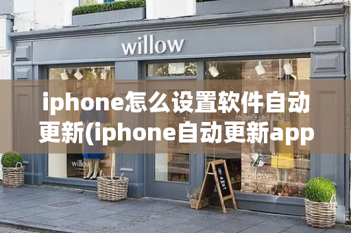 iphone怎么设置软件自动更新(iphone自动更新app怎么打开)