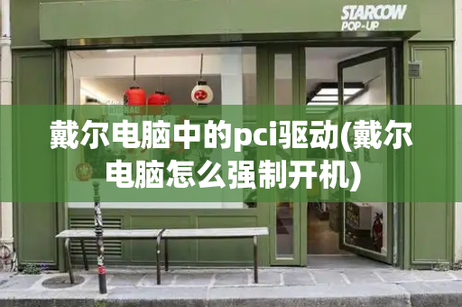 戴尔电脑中的pci驱动(戴尔电脑怎么强制开机)-第1张图片-星选测评