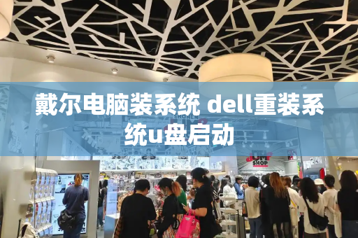 戴尔电脑装系统 dell重装系统u盘启动