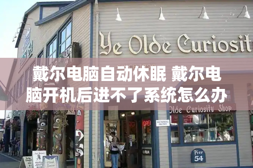 戴尔电脑自动休眠 戴尔电脑开机后进不了系统怎么办-第1张图片-星选测评