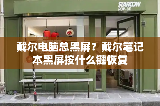 戴尔电脑总黑屏？戴尔笔记本黑屏按什么键恢复-第1张图片-星选测评