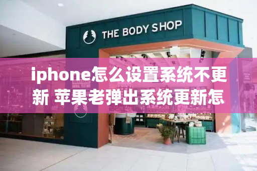 iphone怎么设置系统不更新 苹果老弹出系统更新怎么办