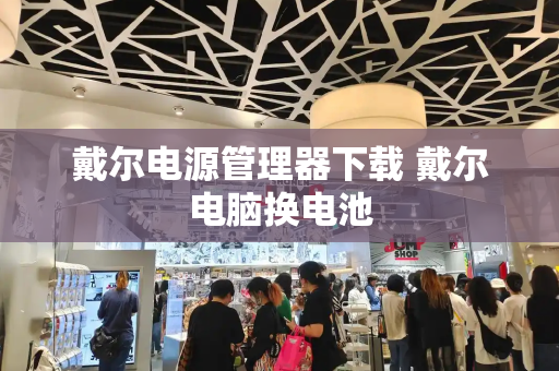 戴尔电源管理器下载 戴尔电脑换电池
