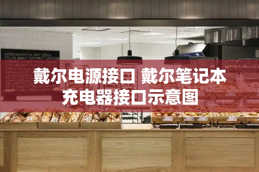 戴尔电源接口 戴尔笔记本充电器接口示意图