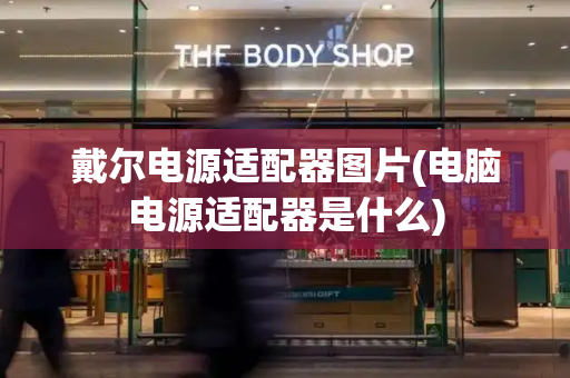 戴尔电源适配器图片(电脑电源适配器是什么)