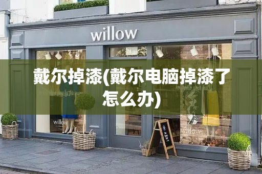戴尔掉漆(戴尔电脑掉漆了怎么办)