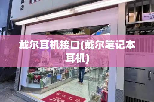 戴尔耳机接口(戴尔笔记本耳机)-第1张图片-星选测评