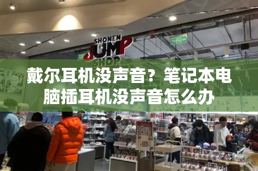 戴尔耳机没声音？笔记本电脑插耳机没声音怎么办-第1张图片-星选测评