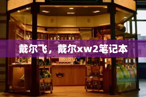 戴尔飞，戴尔xw2笔记本-第1张图片-星选测评