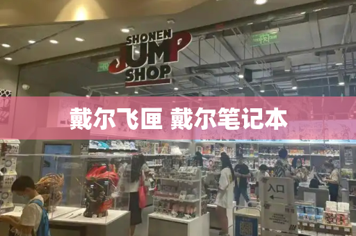 戴尔飞匣 戴尔笔记本-第1张图片-星选测评