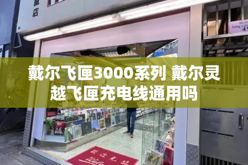 戴尔飞匣3000系列 戴尔灵越飞匣充电线通用吗