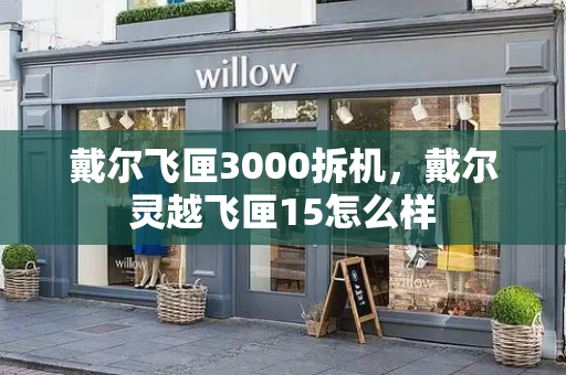 戴尔飞匣3000拆机，戴尔灵越飞匣15怎么样-第1张图片-星选测评