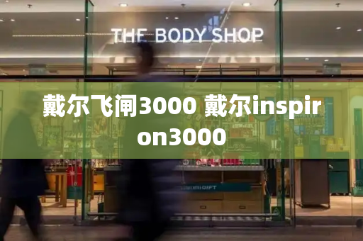 戴尔飞闸3000 戴尔inspiron3000-第1张图片-星选测评