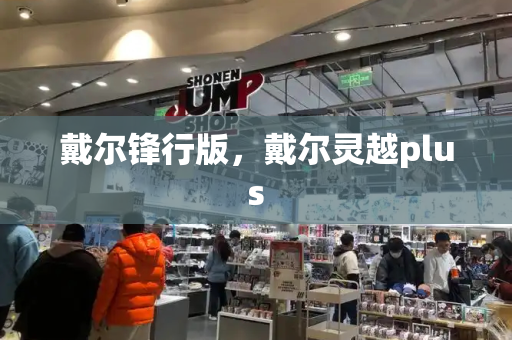 戴尔锋行版，戴尔灵越plus-第1张图片-星选测评