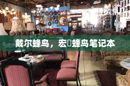 戴尔蜂鸟，宏碁蜂鸟笔记本-第1张图片-星选测评