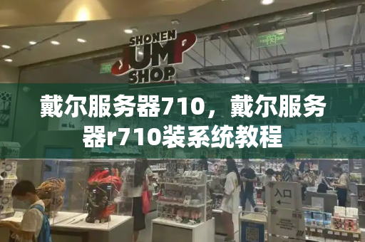 戴尔服务器710，戴尔服务器r710装系统教程